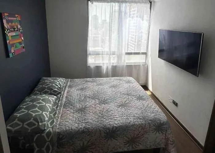 Stgo Centro Apartamento Un Dormitorio 2 Ambientes